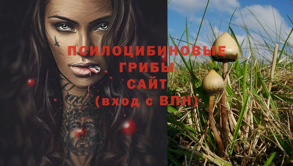 круглые Аркадак