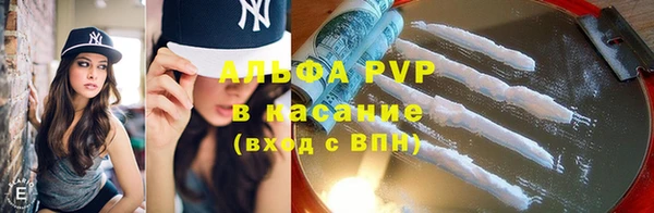 круглые Аркадак